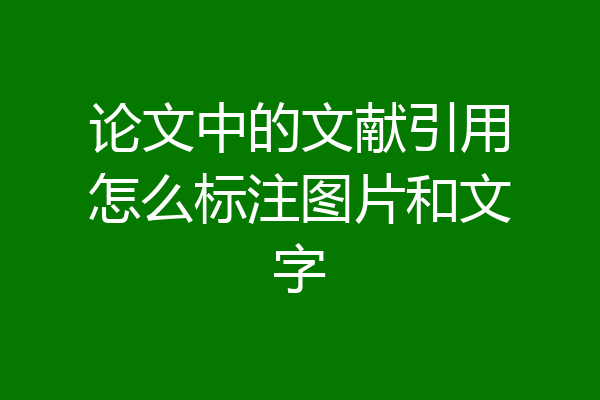 论文中的文献引用怎么标注图片和文字
