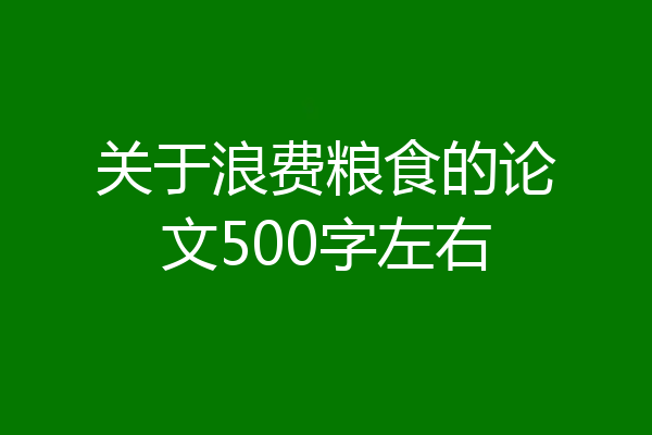 关于浪费粮食的论文500字左右