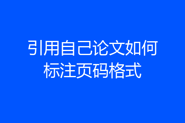 引用自己论文如何标注页码格式
