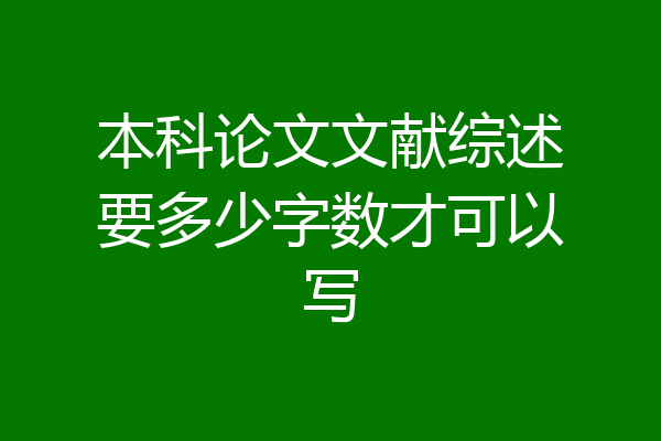 本科论文文献综述要多少字数才可以写