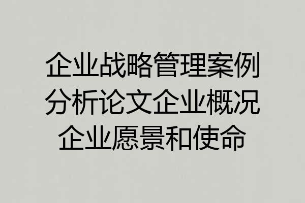 企业战略管理案例分析论文企业概况企业愿景和使命
