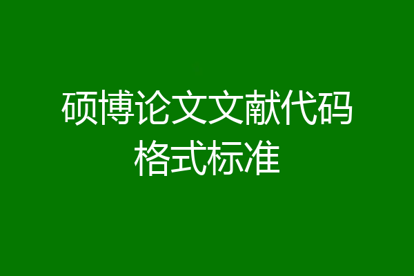 硕博论文文献代码格式标准