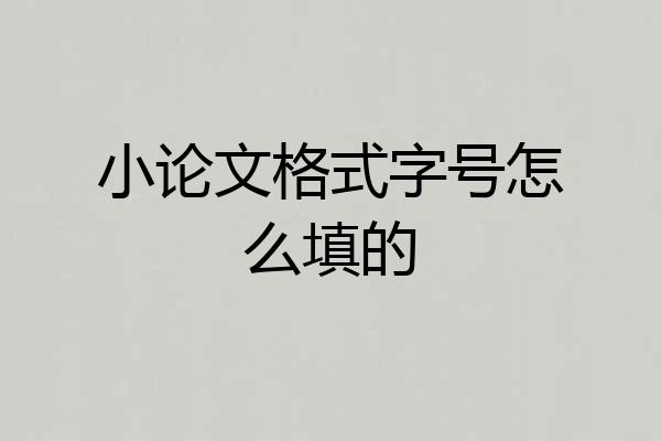 小论文格式字号怎么填的