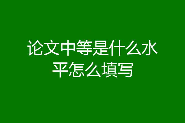 论文中等是什么水平怎么填写