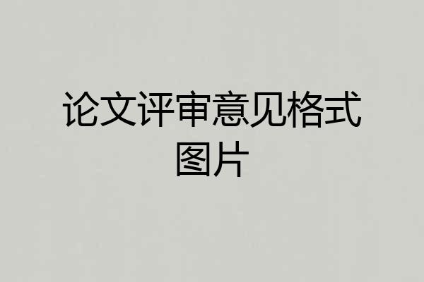论文评审意见格式图片