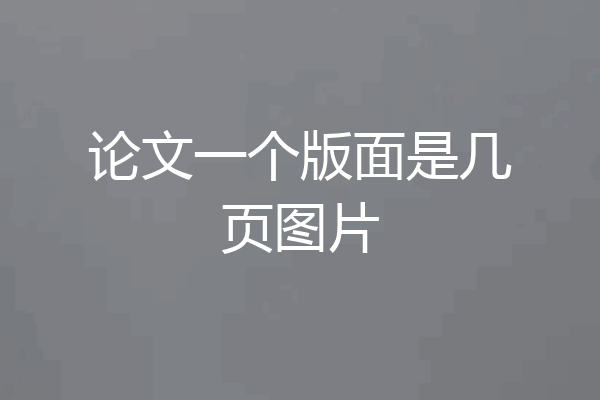 论文一个版面是几页图片