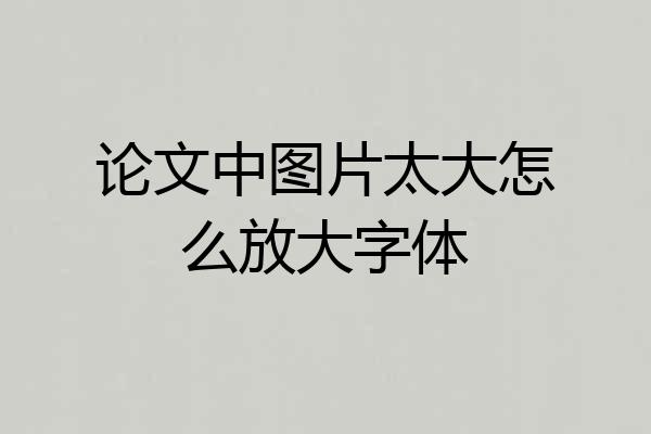 论文中图片太大怎么放大字体