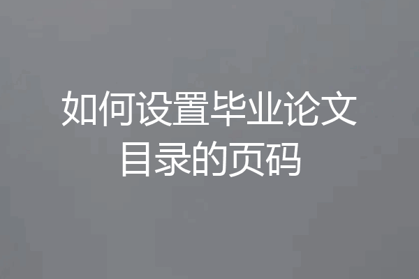 如何设置毕业论文目录的页码