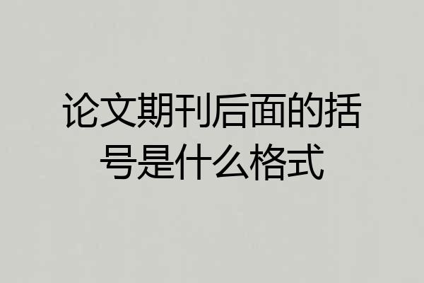 论文期刊后面的括号是什么格式