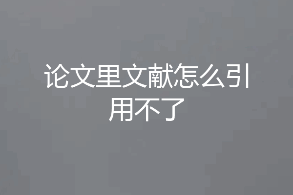 论文里文献怎么引用不了