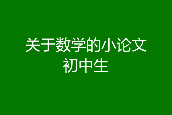 关于数学的小论文初中生