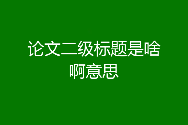 论文二级标题是啥啊意思