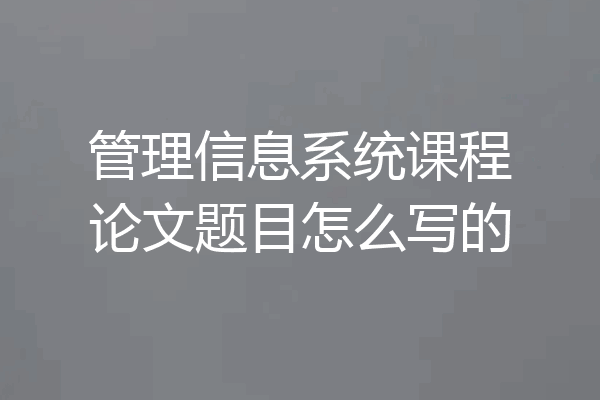 管理信息系统课程论文题目怎么写的