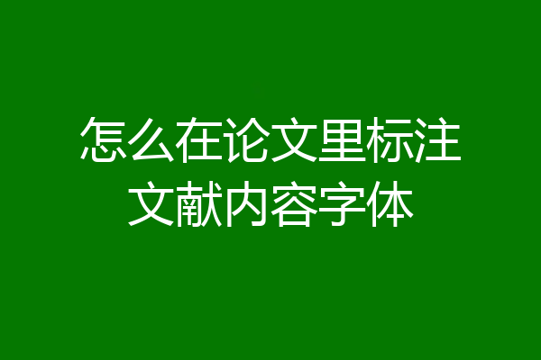 怎么在论文里标注文献内容字体