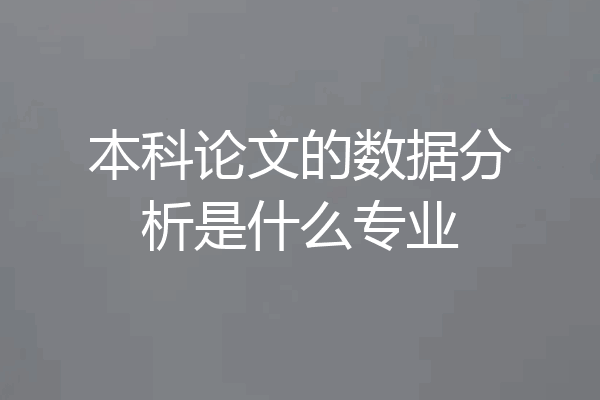本科论文的数据分析是什么专业