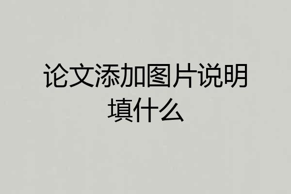 论文添加图片说明填什么
