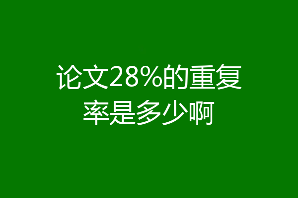 论文28%的重复率是多少啊