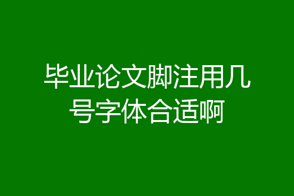 毕业论文脚注用几号字体合适啊