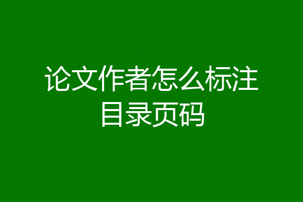 论文作者怎么标注目录页码
