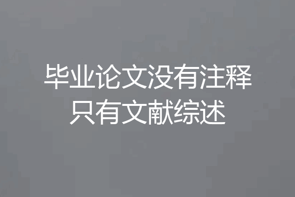 毕业论文没有注释只有文献综述