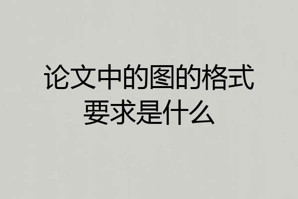 论文中的图的格式要求是什么