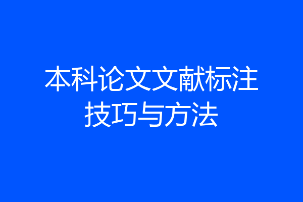 本科论文文献标注技巧与方法