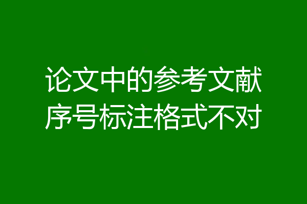 论文中的参考文献序号标注格式不对