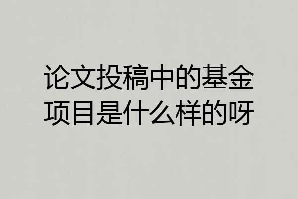 论文投稿中的基金项目是什么样的呀