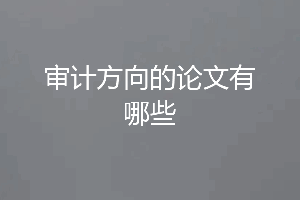 审计方向的论文有哪些