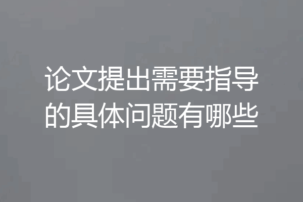 论文提出需要指导的具体问题有哪些