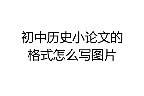 初中历史小论文的格式怎么写图片