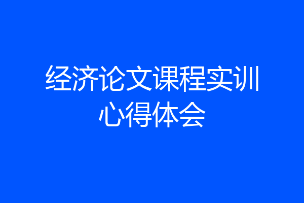 经济论文课程实训心得体会