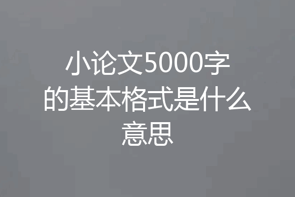 小论文5000字的基本格式是什么意思