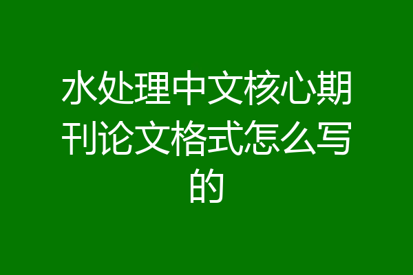 水处理中文核心期刊论文格式怎么写的