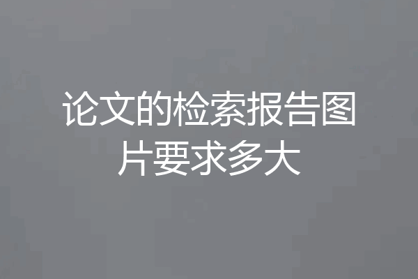 论文的检索报告图片要求多大
