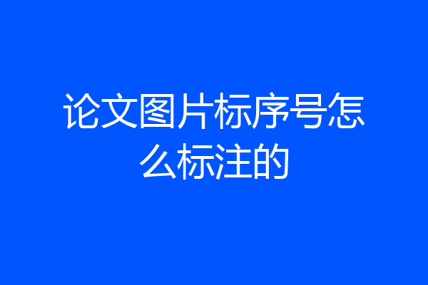 论文图片标序号怎么标注的