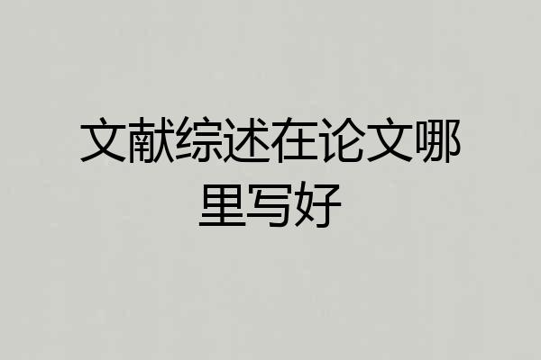 文献综述在论文哪里写好
