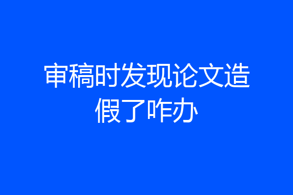 审稿时发现论文造假了咋办