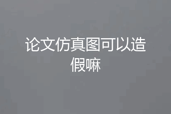论文仿真图可以造假嘛