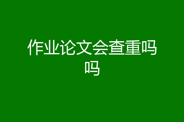 作业论文会查重吗吗