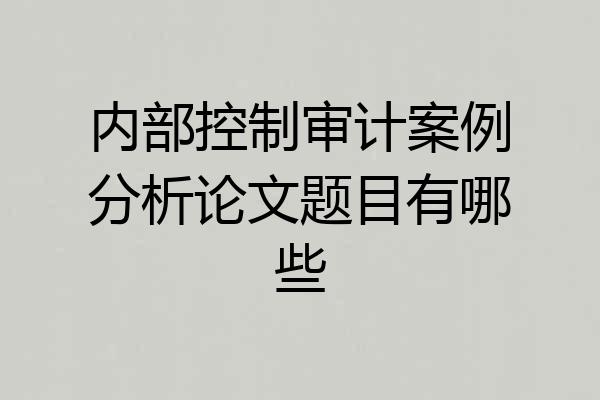 内部控制审计案例分析论文题目有哪些