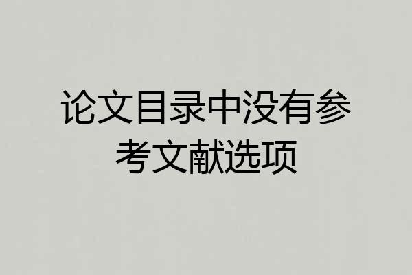 论文目录中没有参考文献选项