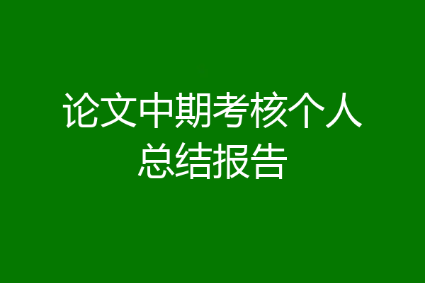论文中期考核个人总结报告