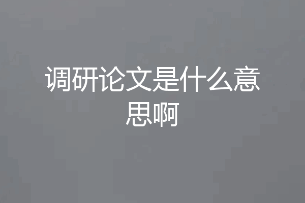 调研论文是什么意思啊