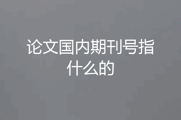 论文国内期刊号指什么的