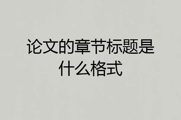 论文的章节标题是什么格式