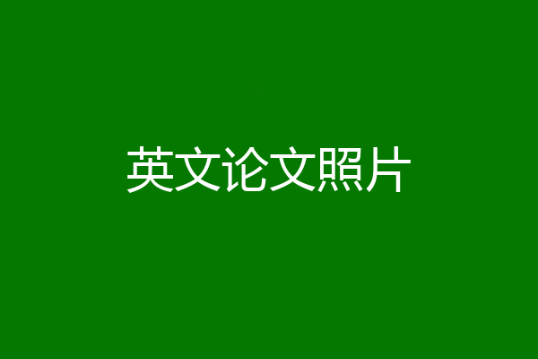 英文论文照片
