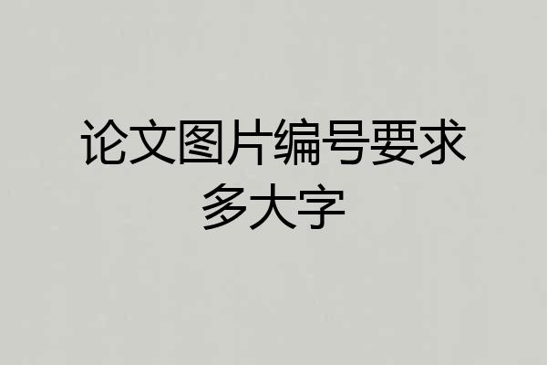 论文图片编号要求多大字