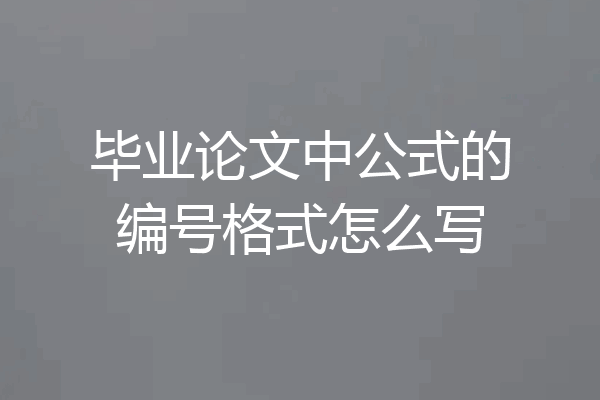 毕业论文中公式的编号格式怎么写
