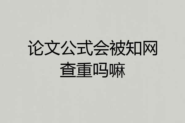 论文公式会被知网查重吗嘛